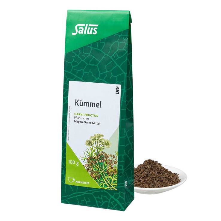 Kümmel Arzneitee Carvi fructus Salus, 100 g