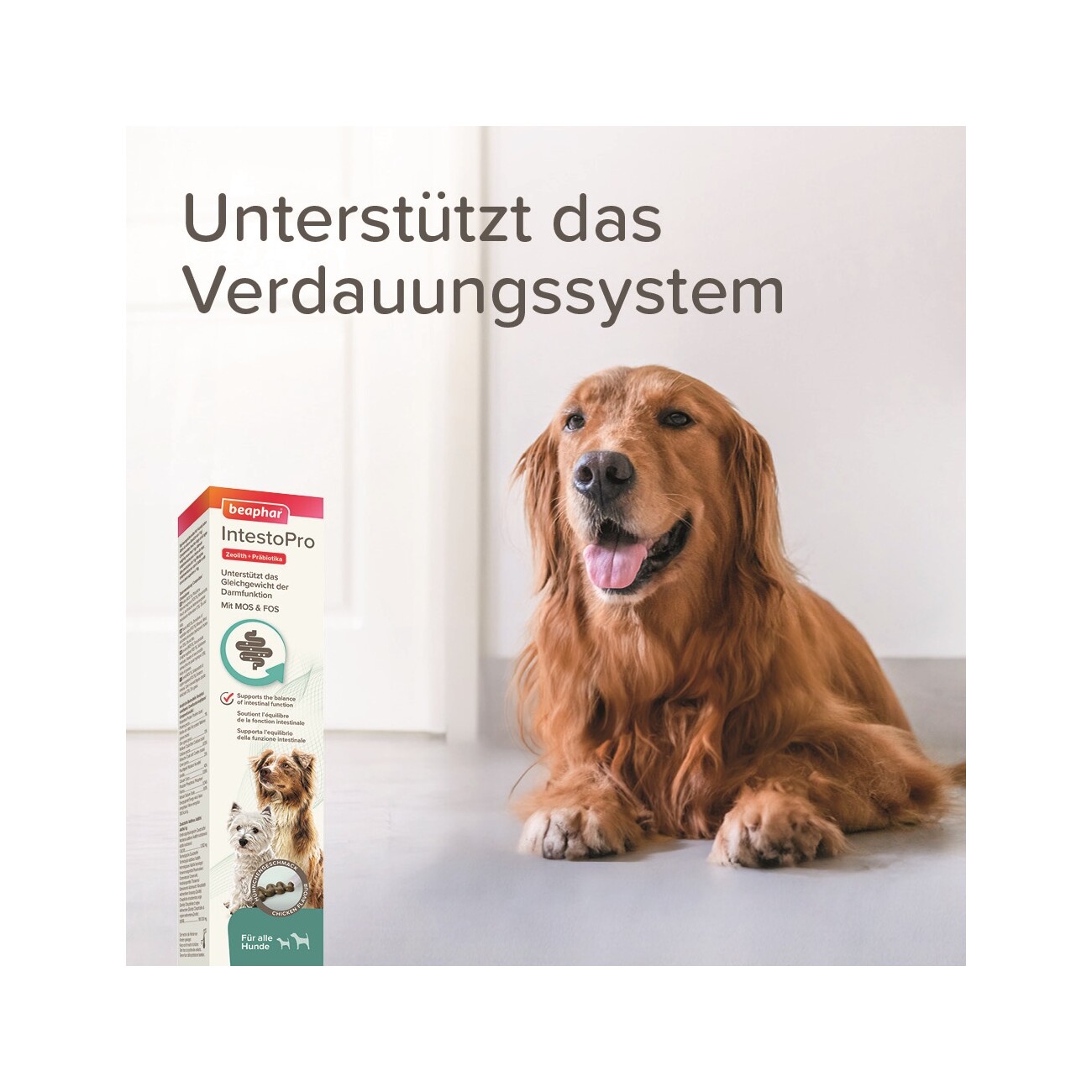Beaphar IntestoPro Paste für Hunde 2x20 ml