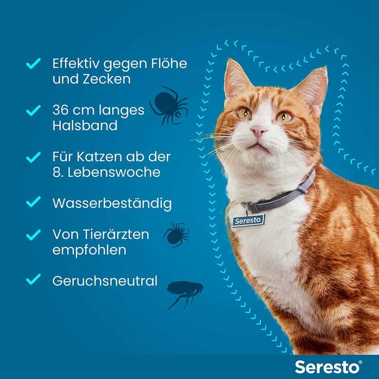 Seresto Halsband für Katzen, 1 St