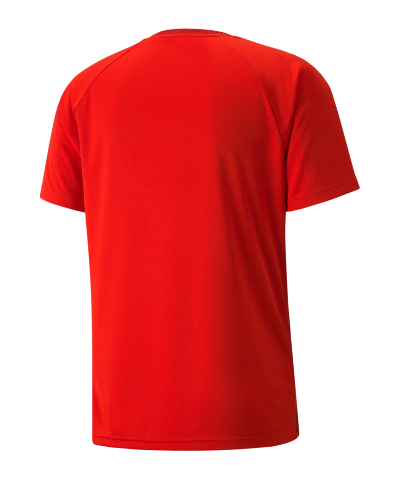 PUMA teamVISION Trikot Rot F01