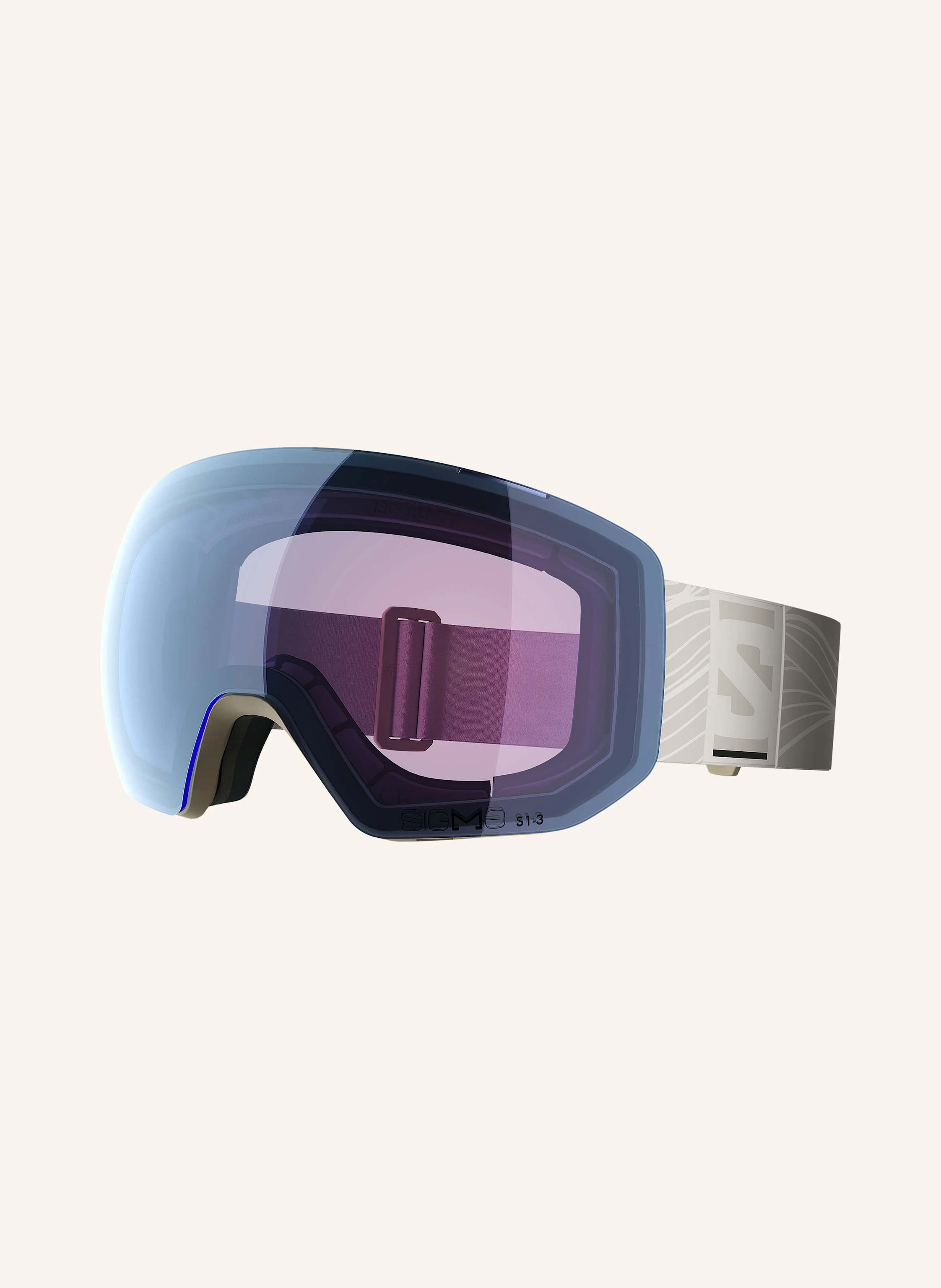 SALOMON Skibrille RADIUM PRO S