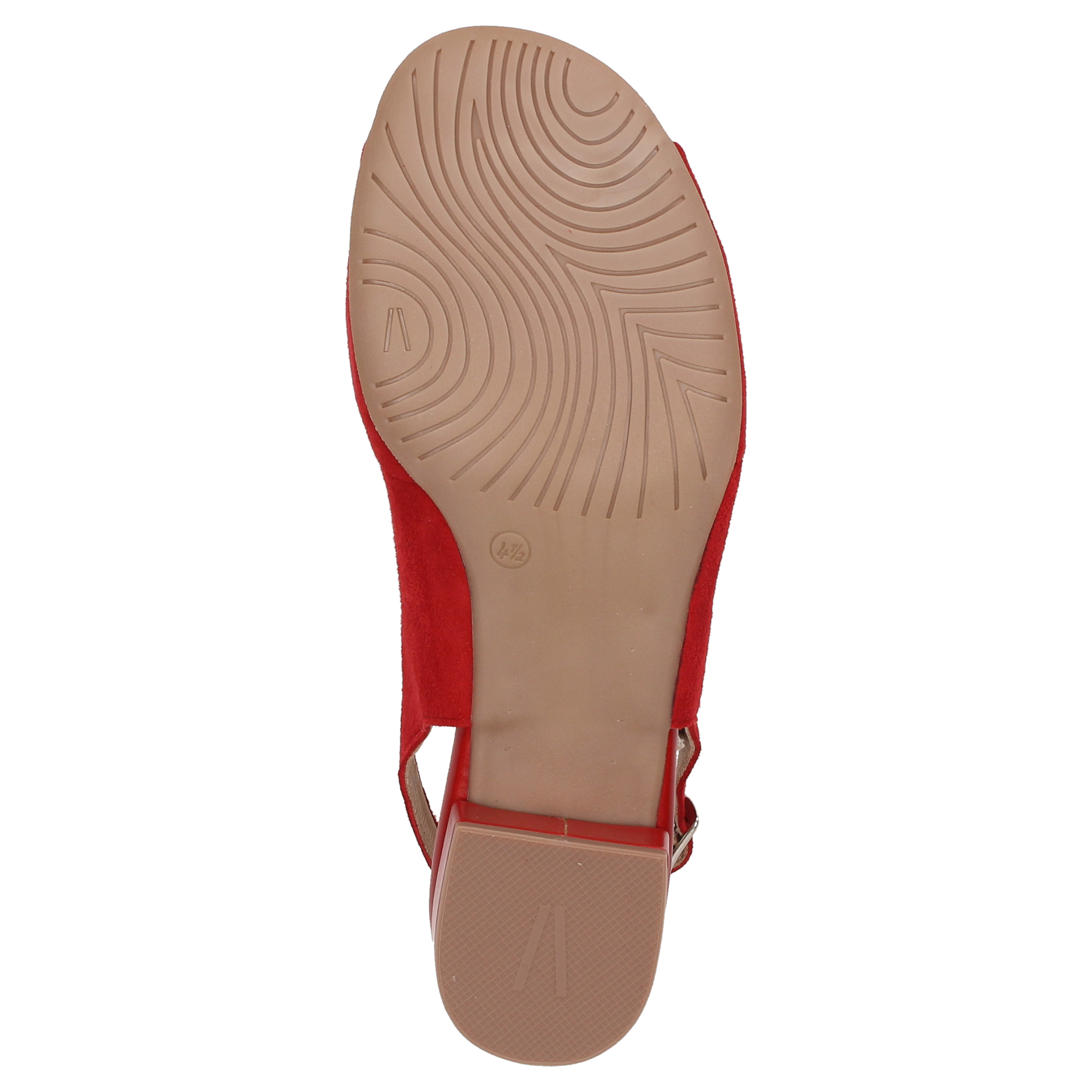 Zippora
