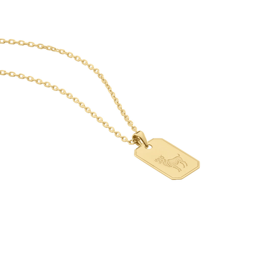 Collier Plaqué Or Quintien