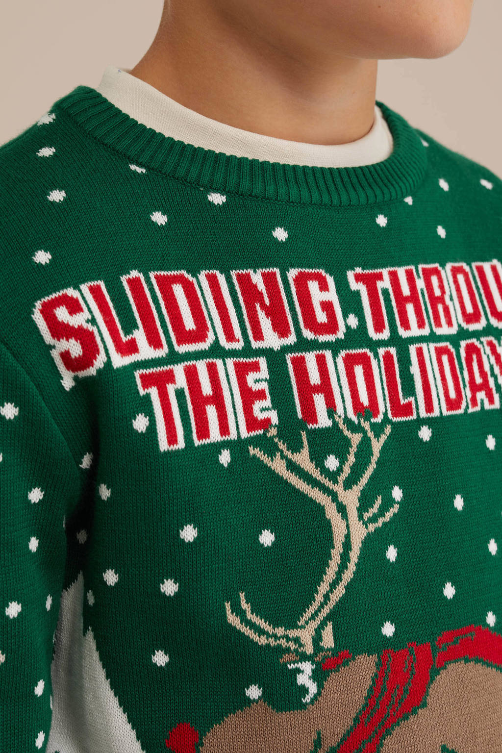 WE Fashion kersttrui donkergroen