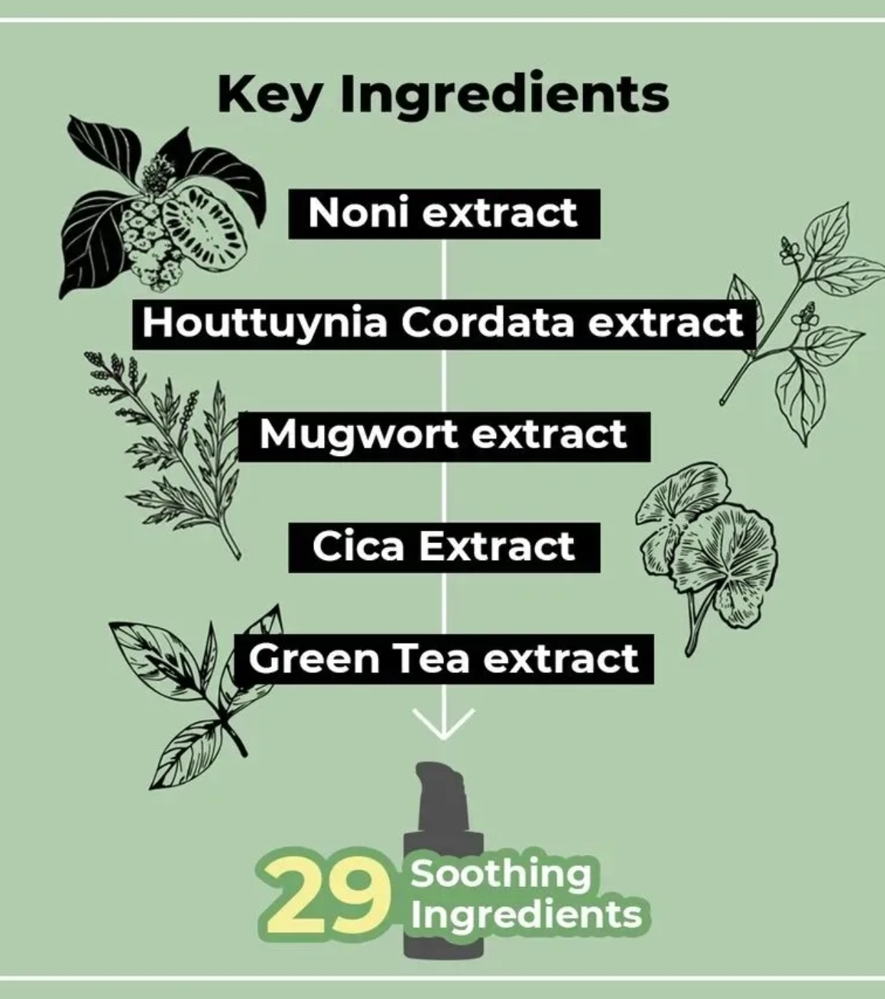 Numbuzin - Soro Calmante No. 7 Mild Green Soothing