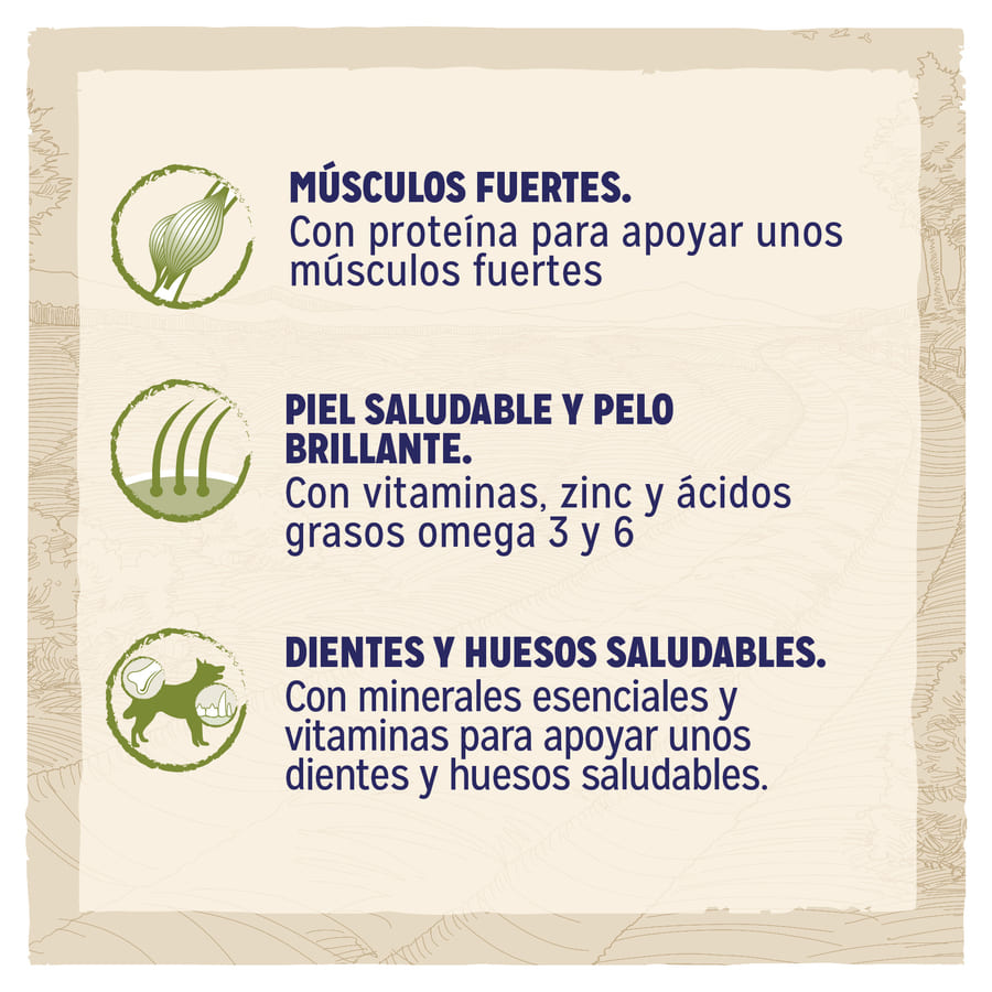 Ração para cães adultos Dog Chow sabor frango