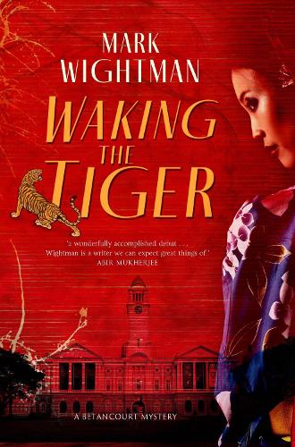 Waking the Tiger (Paperback)