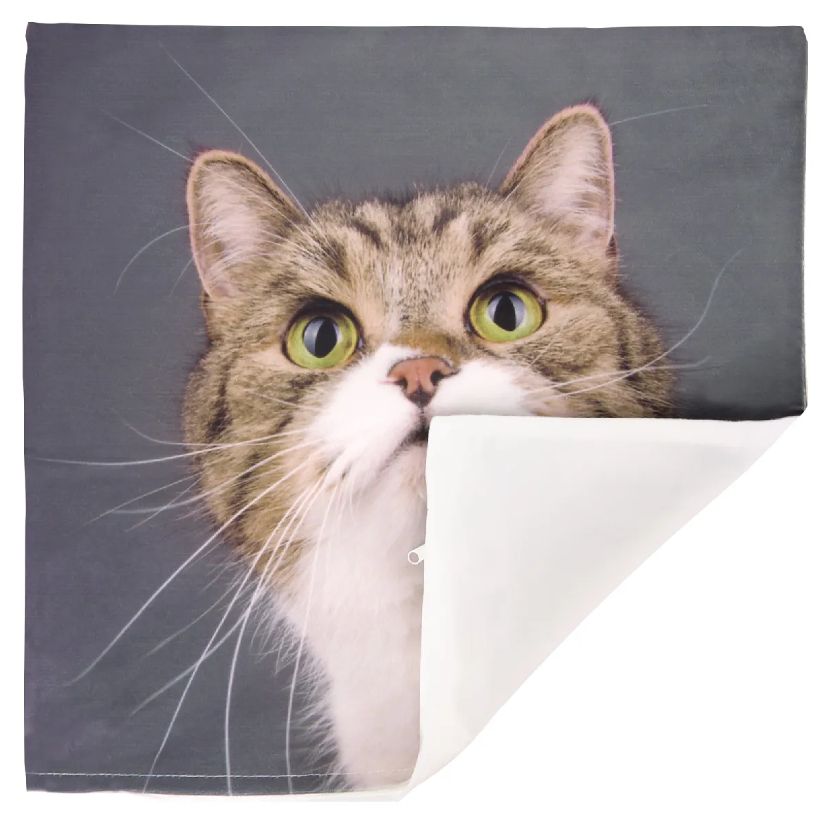 Lot de 2 housses de coussin AVIZAR - Motif Chat Moustache