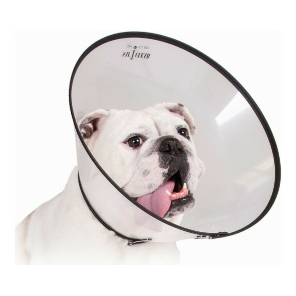 Collier de protection isabelino pour chiens saf-t-clear transparent (25-38 cm)