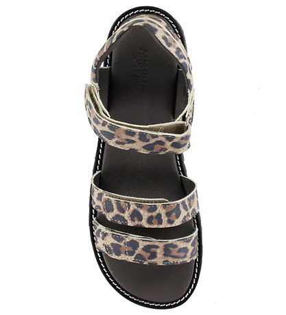 Angulus Sandalen - Leopard
