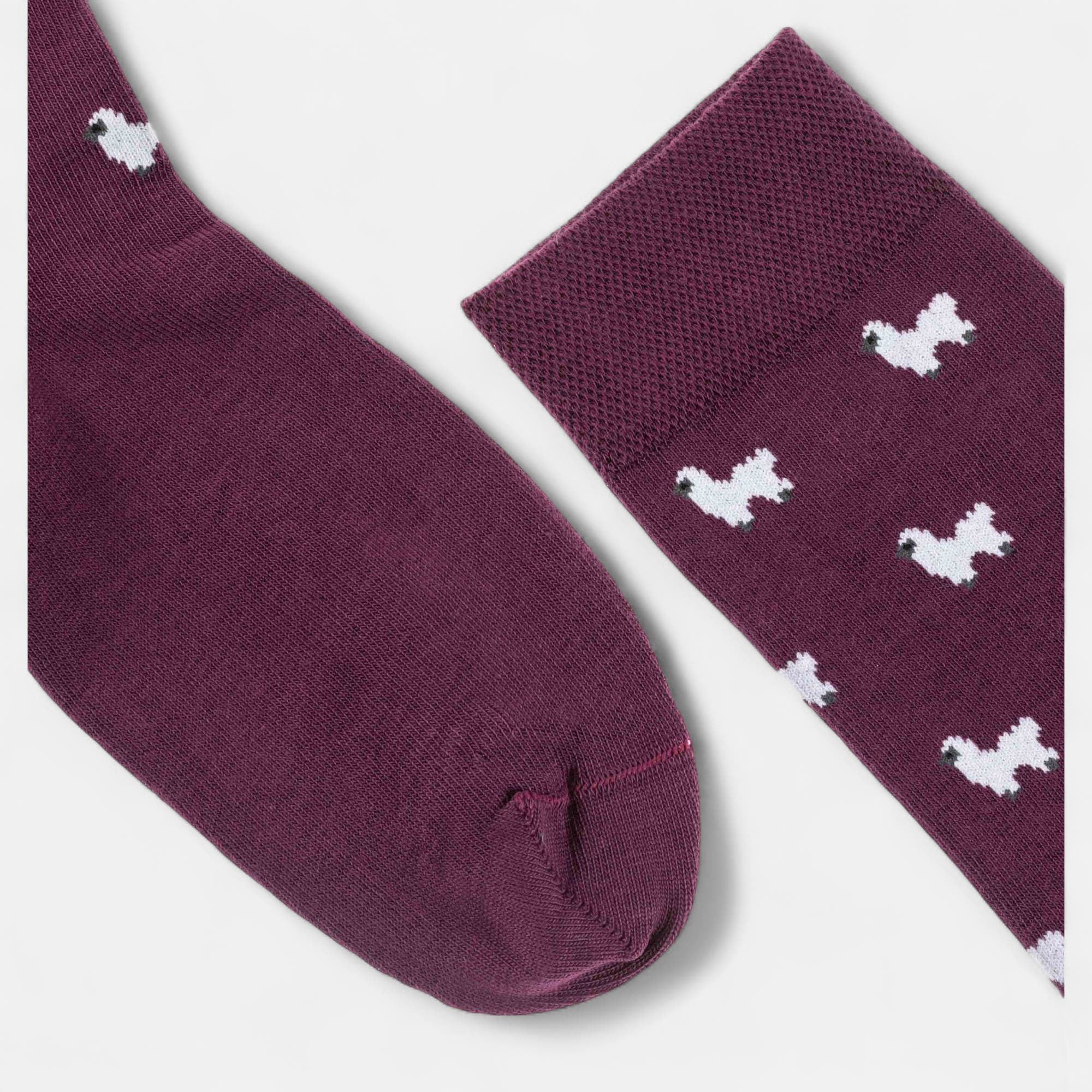 Chaussettes Femme violet