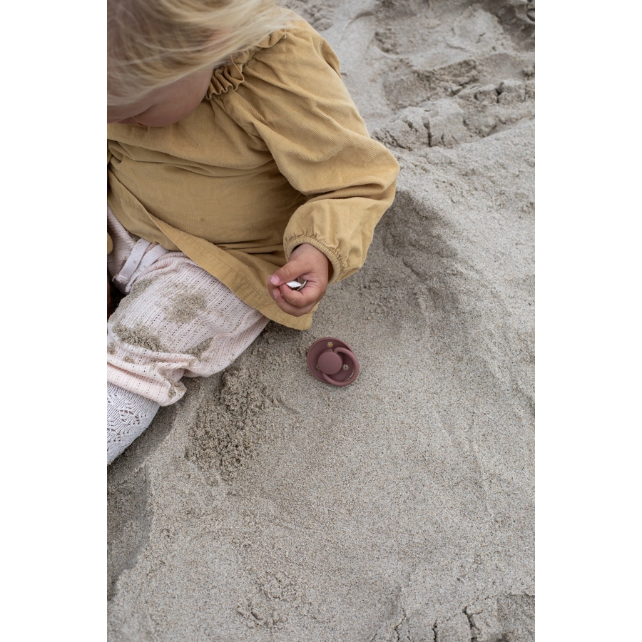 BIBS® Schnuller De Lux Woodchuck  Blush 0-36 Monate, 4 Stk.