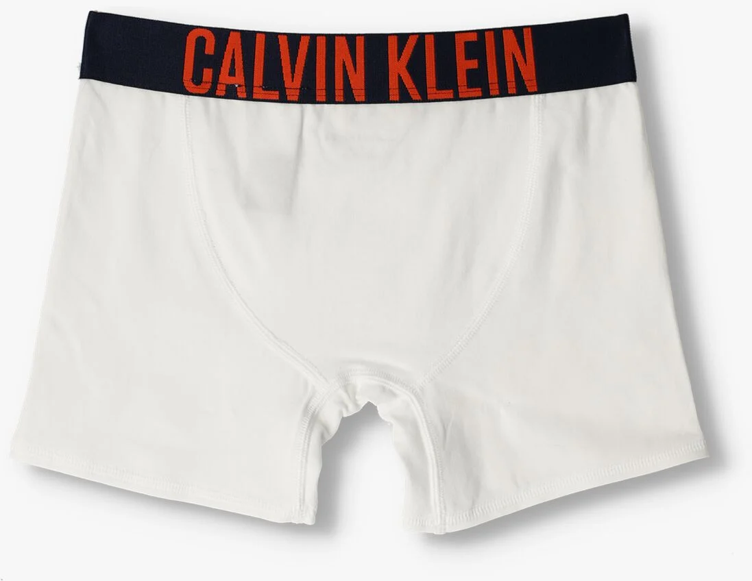 CALVIN KLEIN UNDERWEAR multi calvin klein underwear boxershort 2pk boxer brief