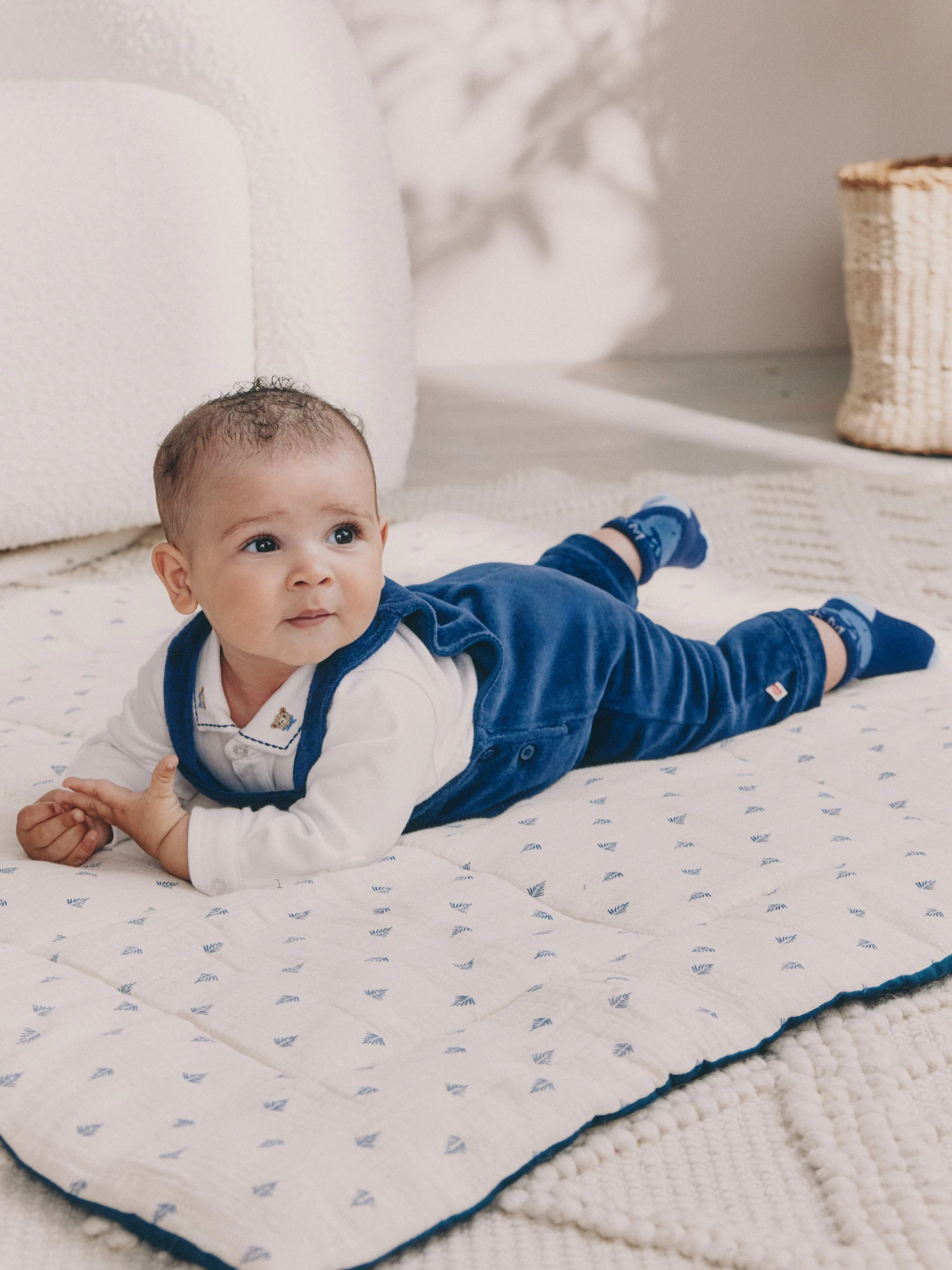 Marineblauw met berenprint - Baby Velour Dungarees and Bodysuit Set (0mths-3yrs)