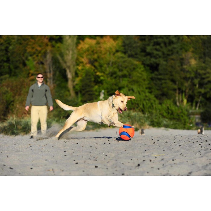 Ballon Kick Fetch
