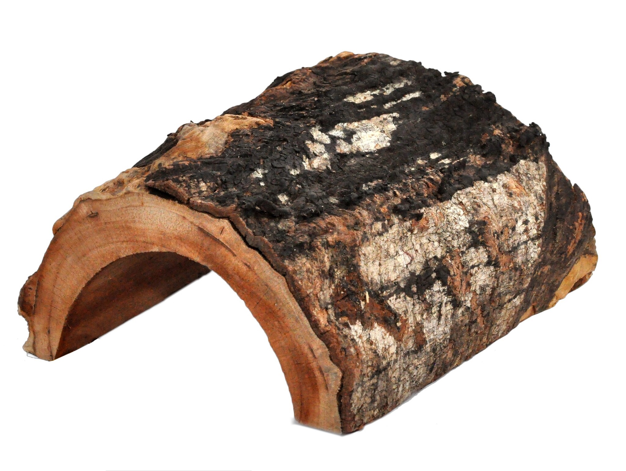 Habistat Terrarium Forest Schuilplaats L