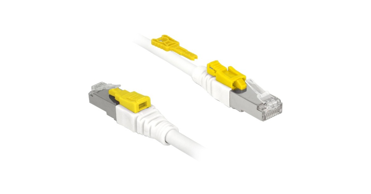 DeLOCKPatchkabel RJ-45 Secure met Cat.6a  (Wit, 85333, 3 meter)