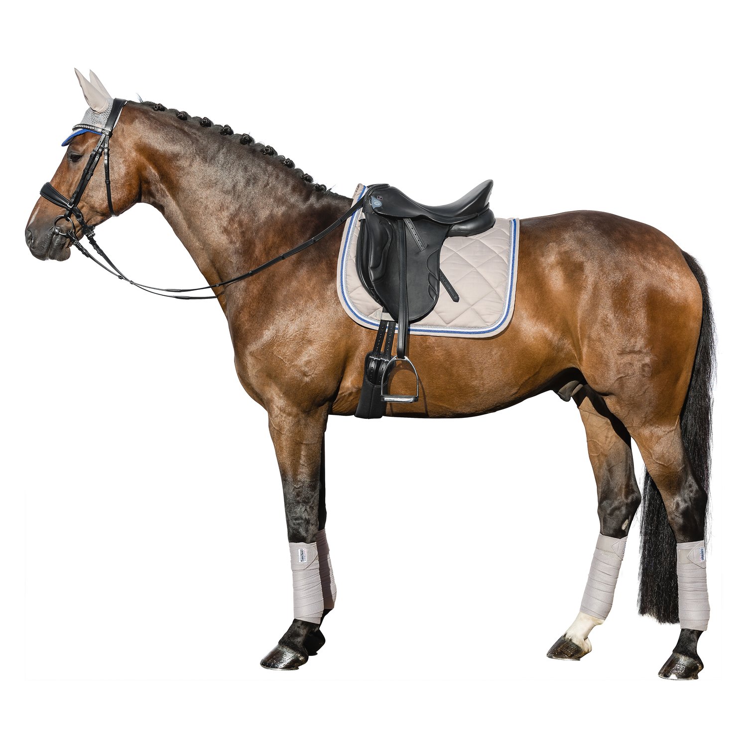 black forest Fliegenhaube Classic  - grey - WB
