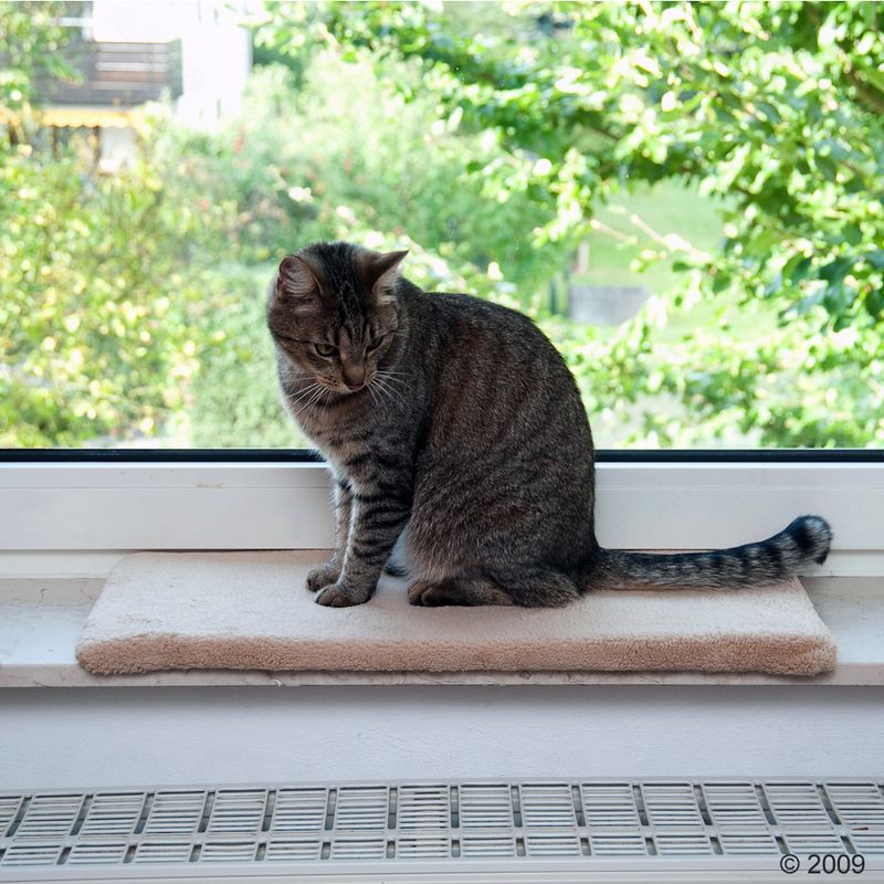 Tapis de fenêtre Plush à prix discount sur bitiba.fr