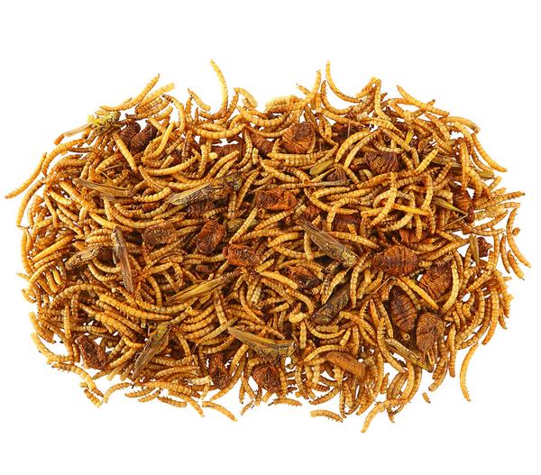 Dehner Best Nature Insekten-Mix, 60 g