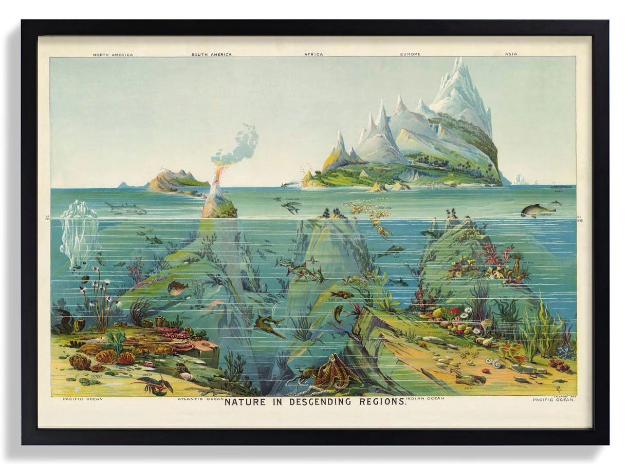 Natur in absteigenden Regionen Bildung Vintage