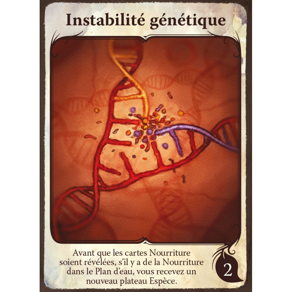 Evolution - Extension Cartes