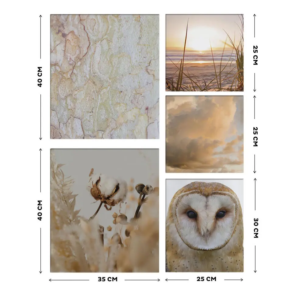 Art for the Home Natuur Canvas Set van 5 80x60 cm