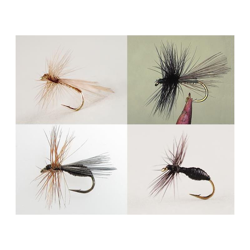 Kit De 4 Mouches Devaux Fourmis