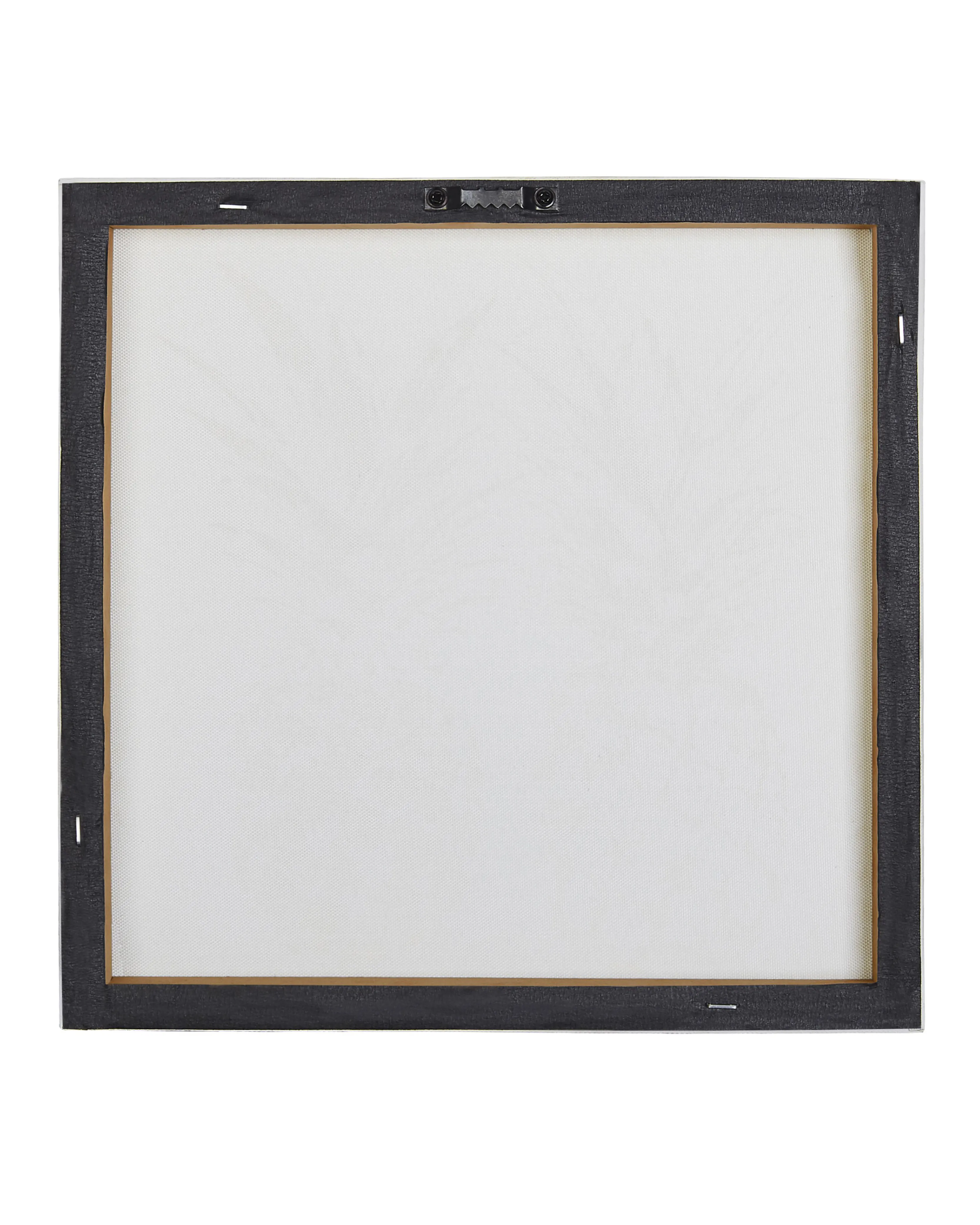 Set van 3 canvassen APESIKA Natuurlijk motief 30 x 30 cm Goud
