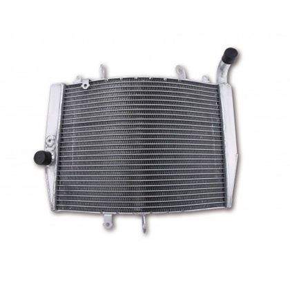 Radiateur Brazoline A EAU ADAPTABLE