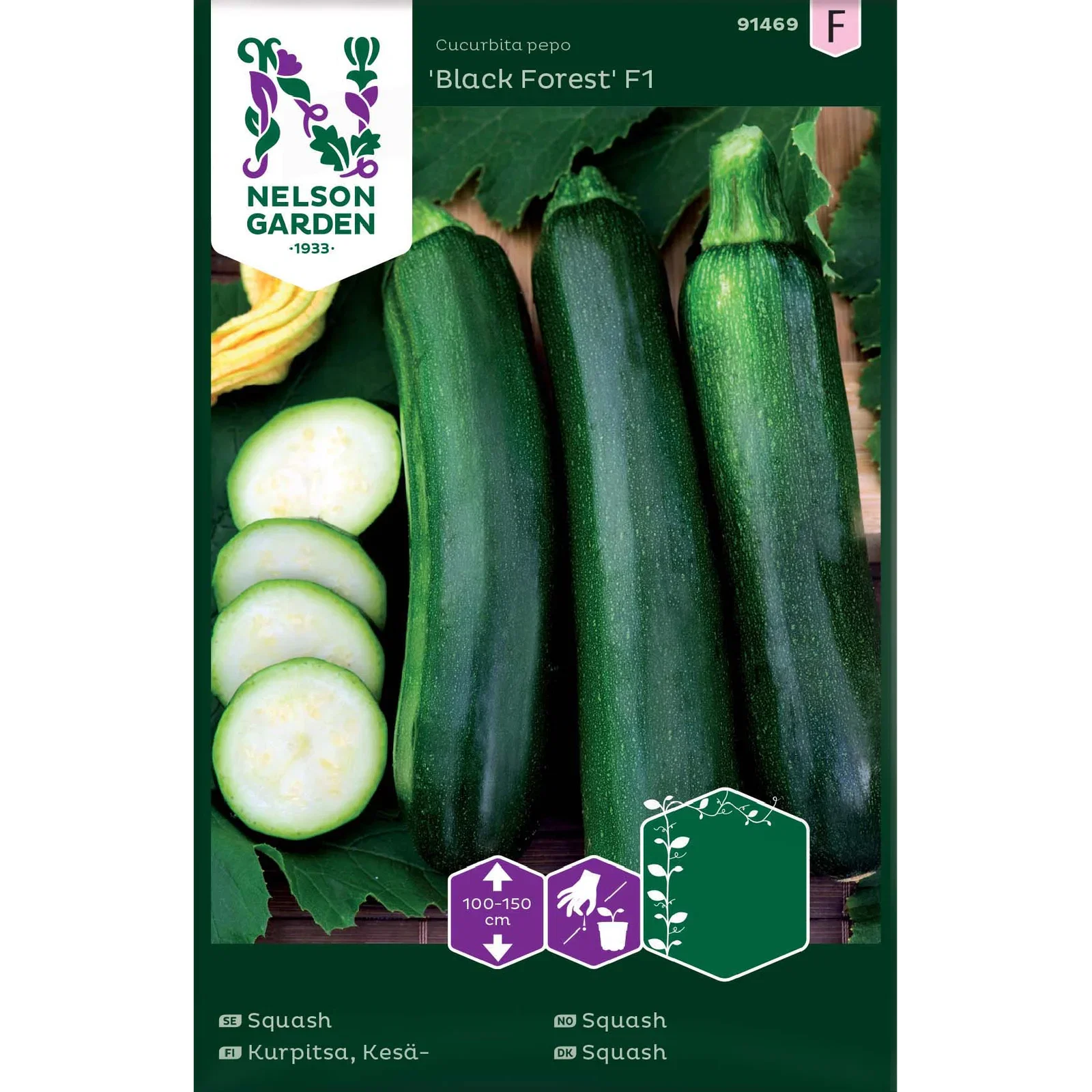 Cucurbita pepo 'Black Forest' Squash 'Black Forest'