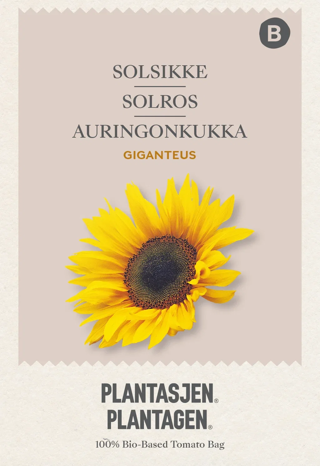 Helianthus annuus Solsikke Giganteus