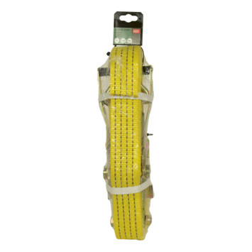 Carpoint extra brede spanband met ratel en haken 9m