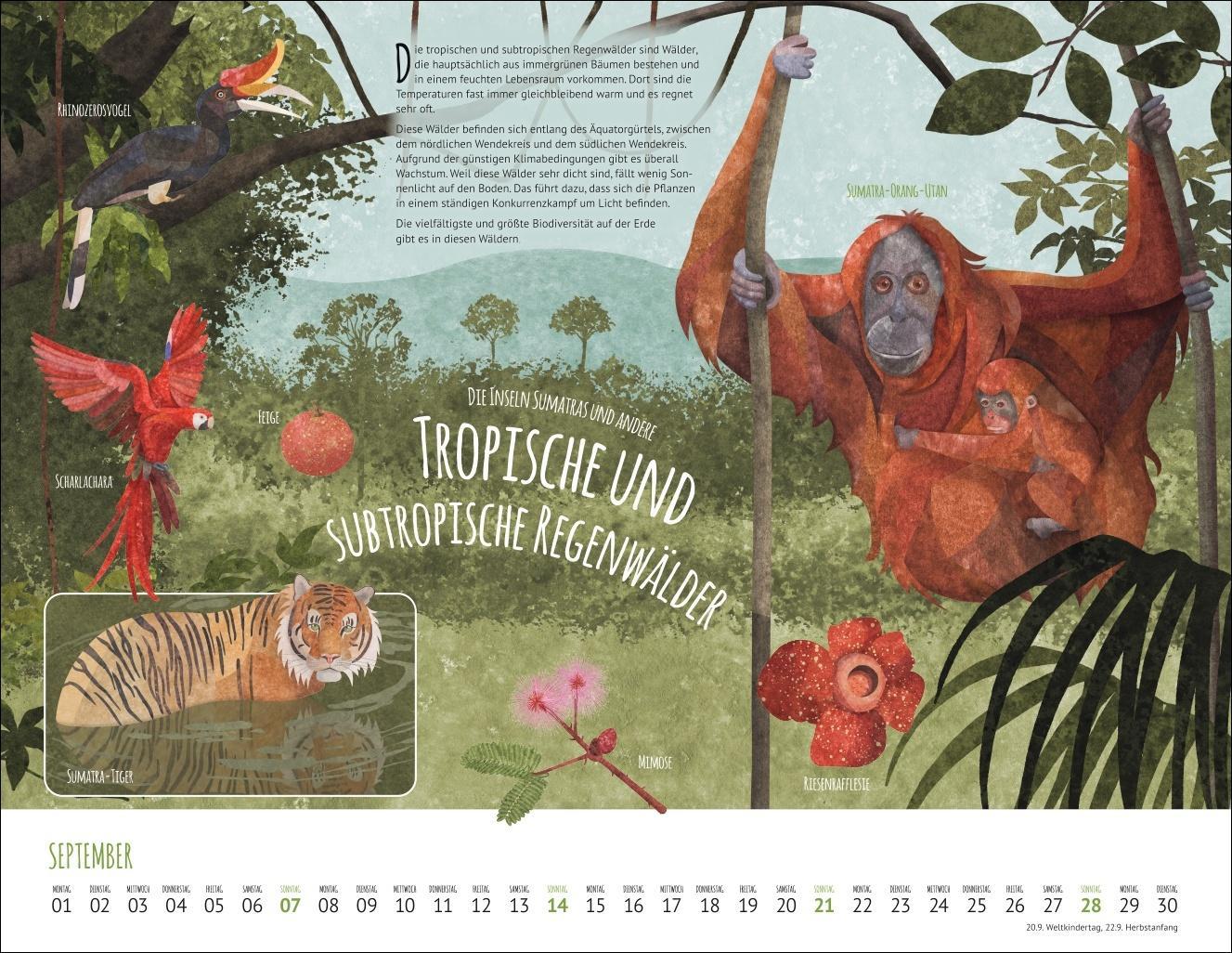 Wo Tiere und Pflanzen zu Hause sind Kalender 2025 - Biome der Welt