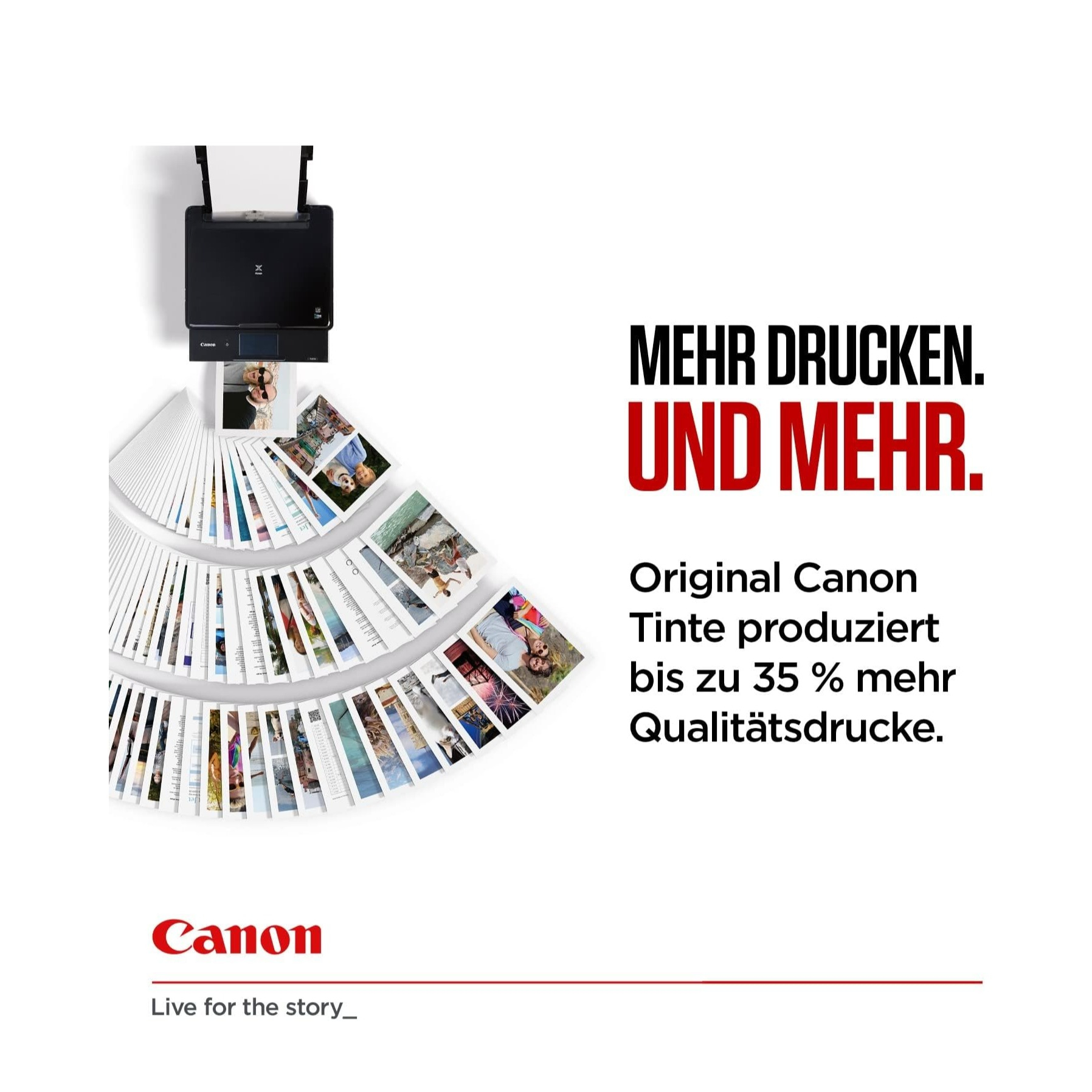 PG-545 XL CL-546 XL Value Pack Vorteilspack Druckerpatrone  50 (10x15cm) Glossy Photo Paper  (400 Seiten) (8286B006) - Schwarz / Farbe