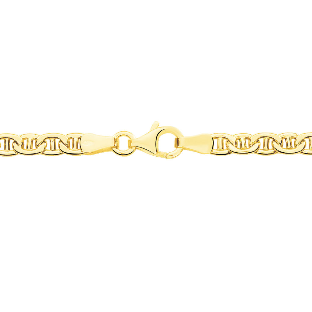 Chaîne Azelleae Maille Marine Plate Or Jaune