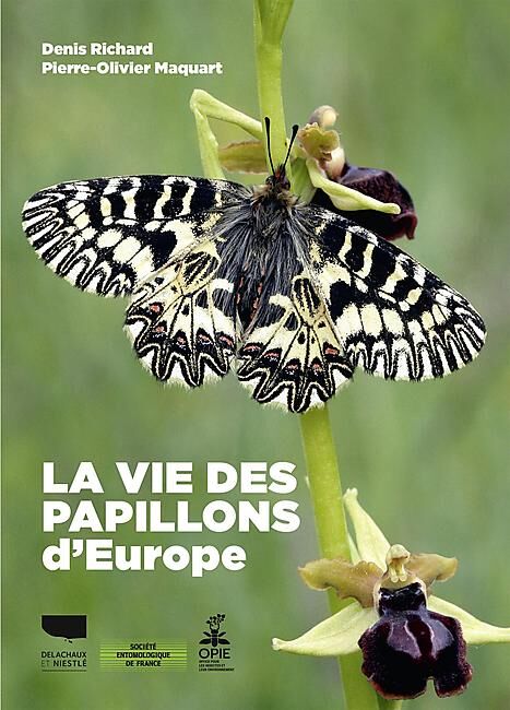 DELACHAUX  NIESTLE - LA VIE DES PAPILLONS D EUROPE