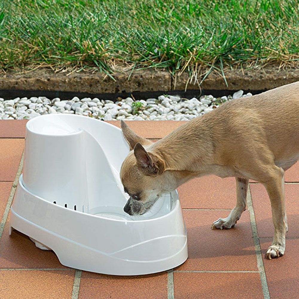 Ferplast fontaine pour chats et chiens de petite taille vega, 2 litres, avec protection antibactérienne permanente, effet source