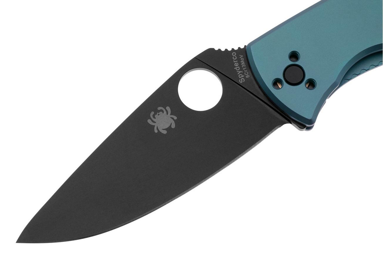 Spyderco Tenacious Black C122TIBLBKP Blue Titanium zakmes