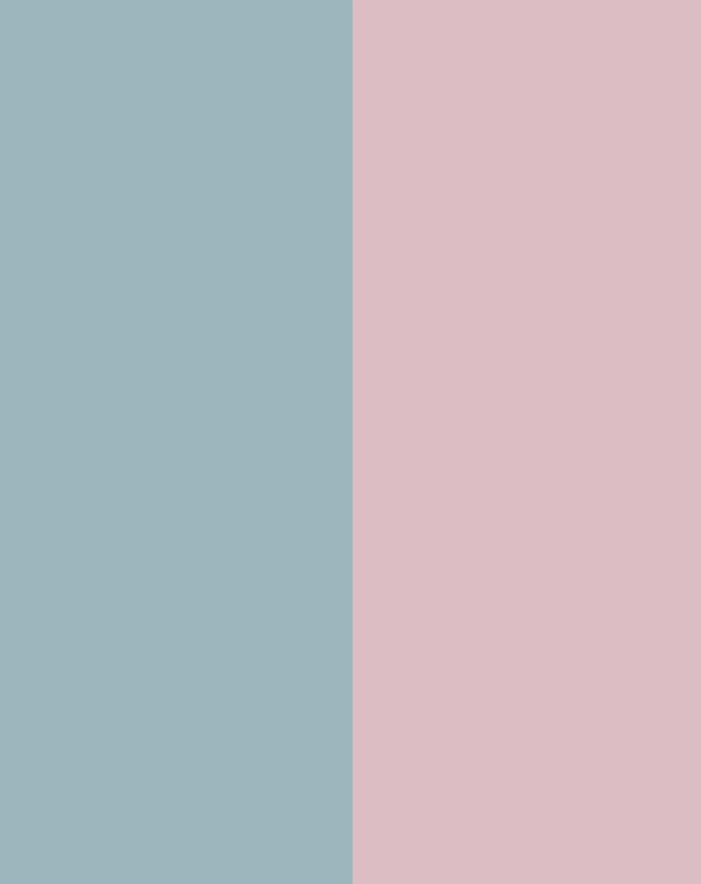 Schulranzen-Set BOXY UNIQUE (30x25x42) 7-teilig in rose/blue