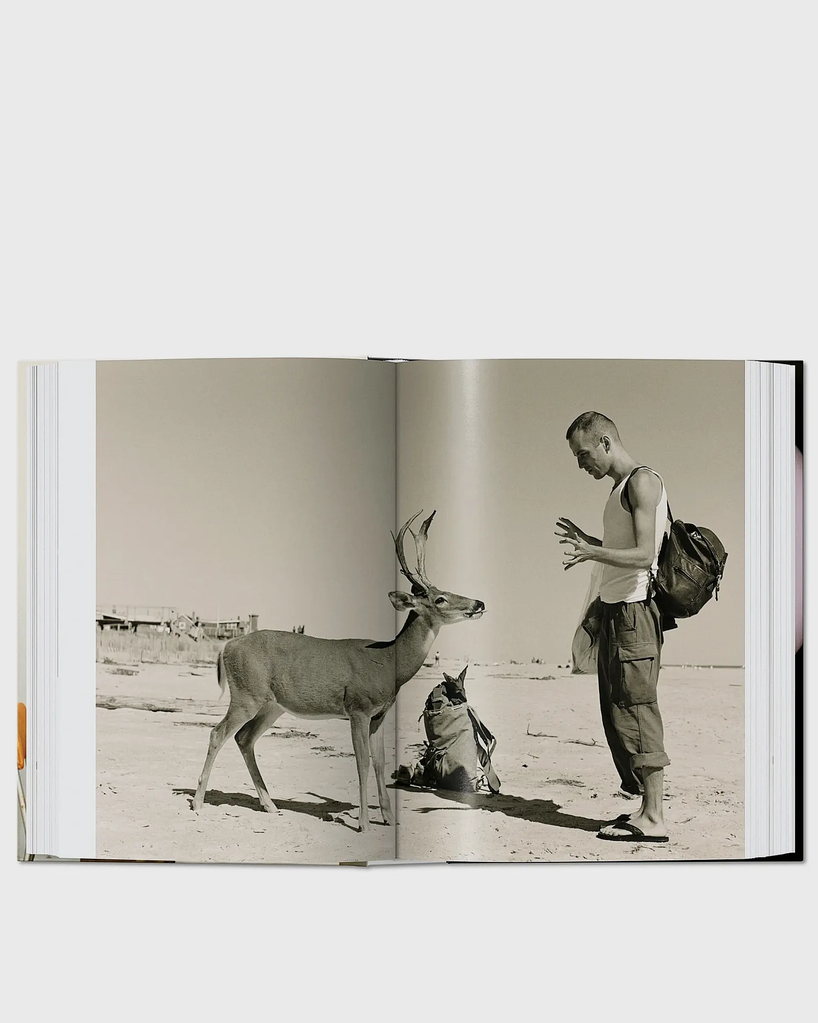 Taschen four books. 40th Ed by Wolfgang Tillmans
