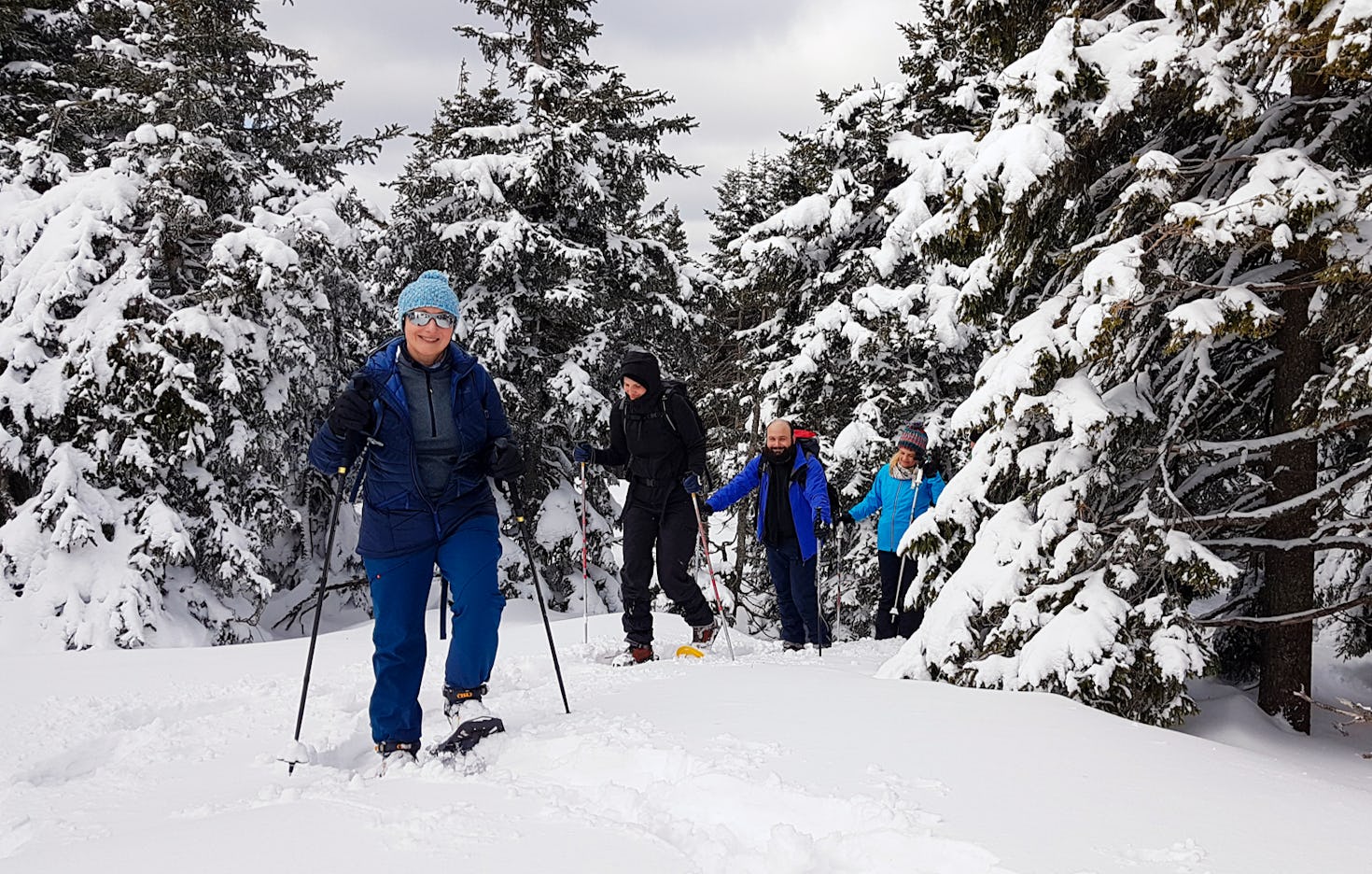 Schneeschuh wandern Niederösterreich