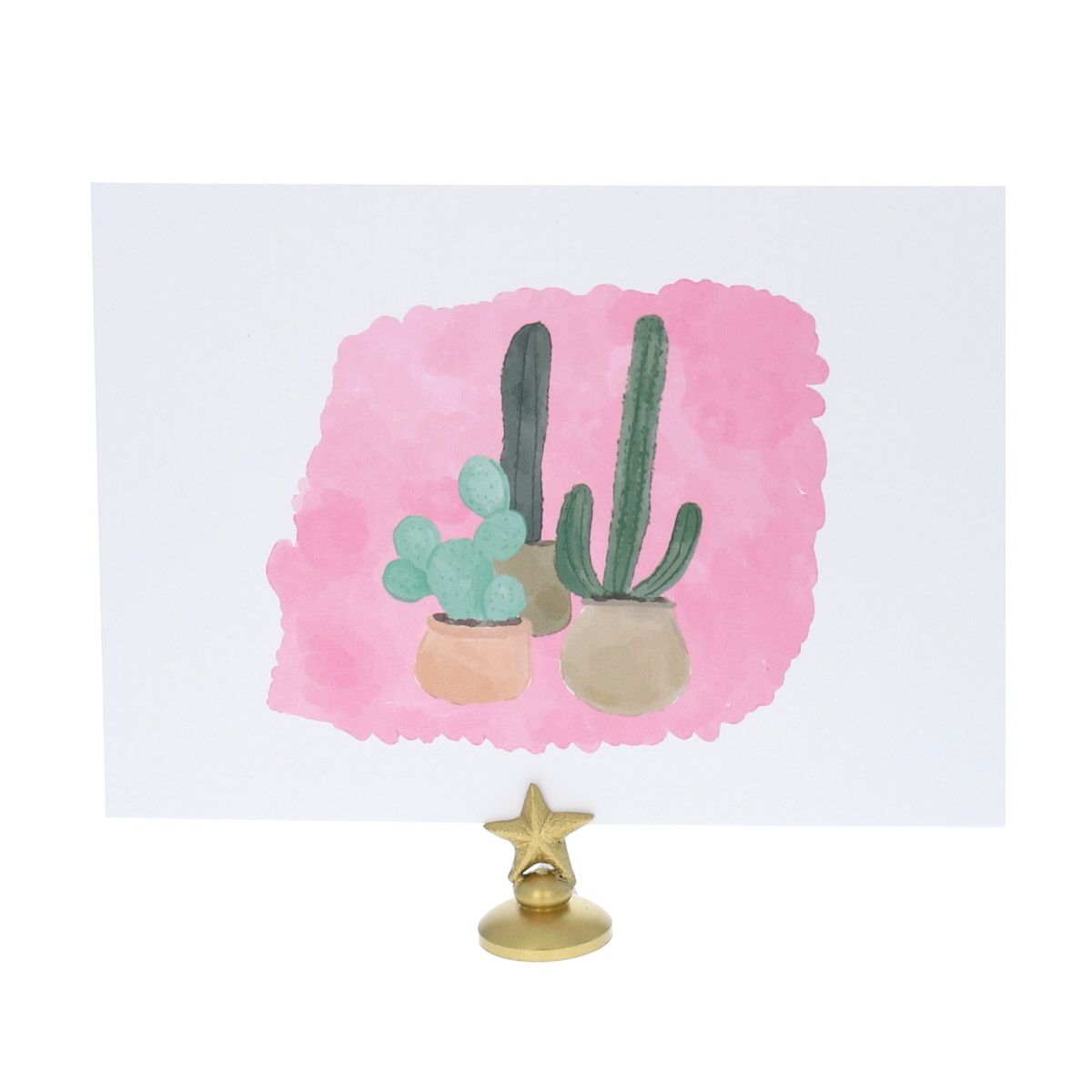 Carte Maroc cactus Le petit Souk