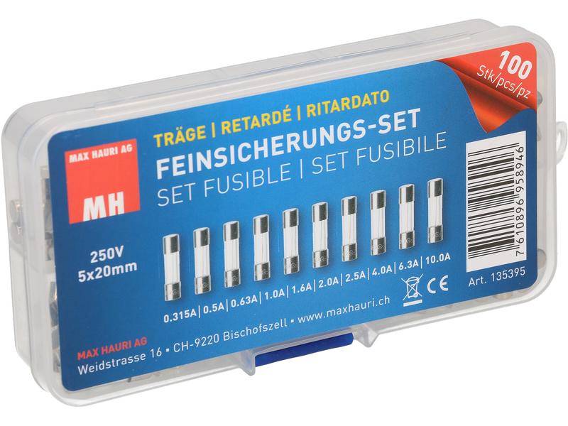 Max Hauri Schmelzsicherung Set 5 x 20 mm Träge, 100 Stück Schmelzsicherungs-Set (Feinsicherung, Träge (T))