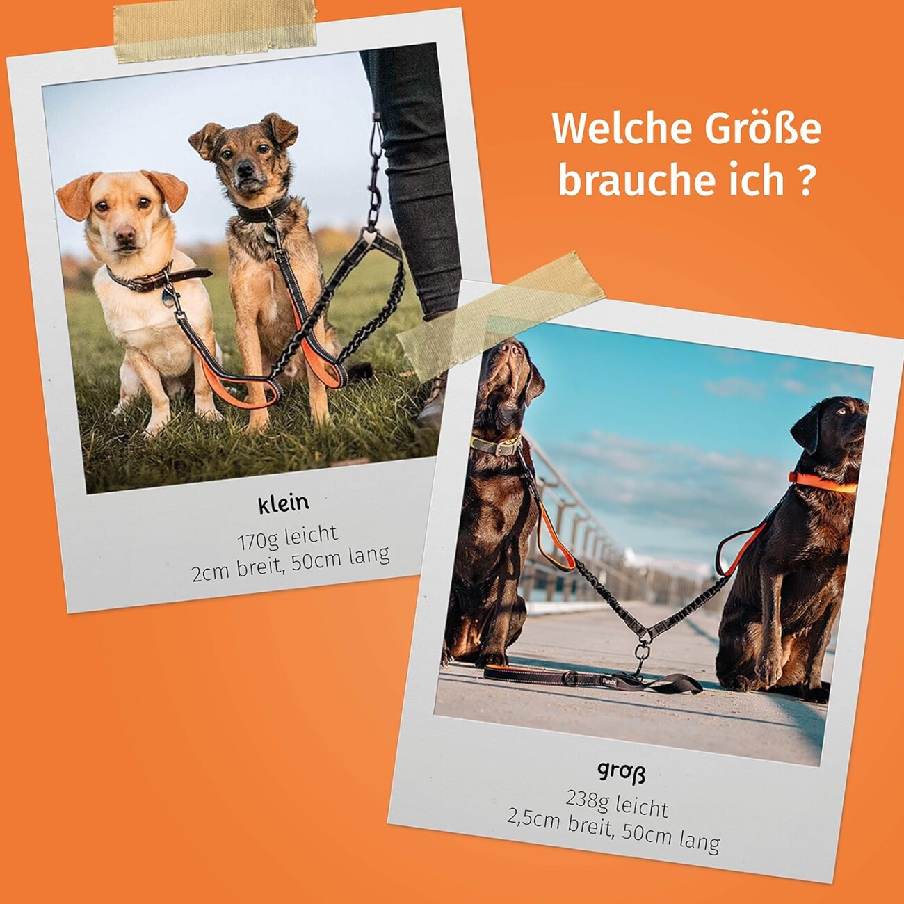 Floxik Koppelleine - Premium Hundeleine für Zwei Hunde zum Koppeln M