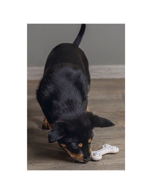 Beeztees Dental Bot Puppy 10x5.5 cm - Hondenspeelgoed