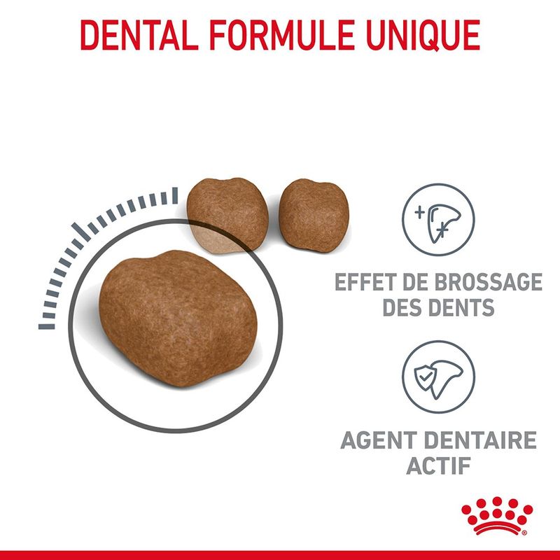 Royal Canin Dental Care à prix discount sur bitiba.fr