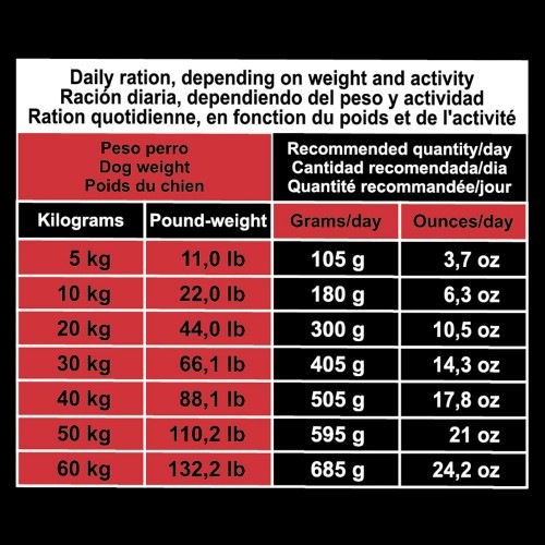 Ração Arquivet original de porco ibérico para cães adultos.