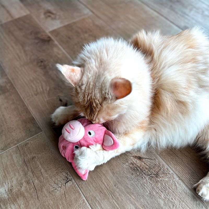 Jouet Aumüller Cochon Peggy à la valériane