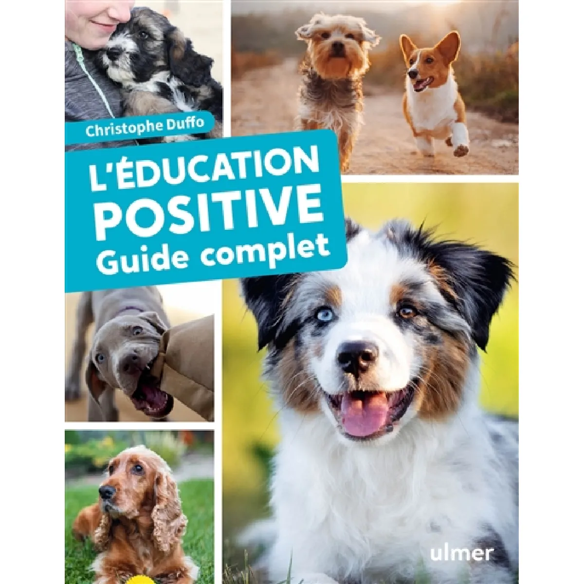 L'éducation positive : guide complet · Occasion